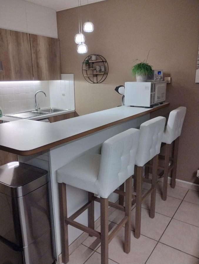 Appartement Met Zeezicht, Zwembad & Garage オステンド エクステリア 写真